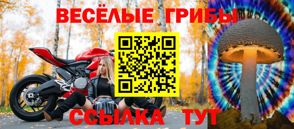 Псилоцибиновые грибы мухоморы  Галлюциногенные грибы MAGIC MUSHROOMS  Ижевск  Вход с VPN 
